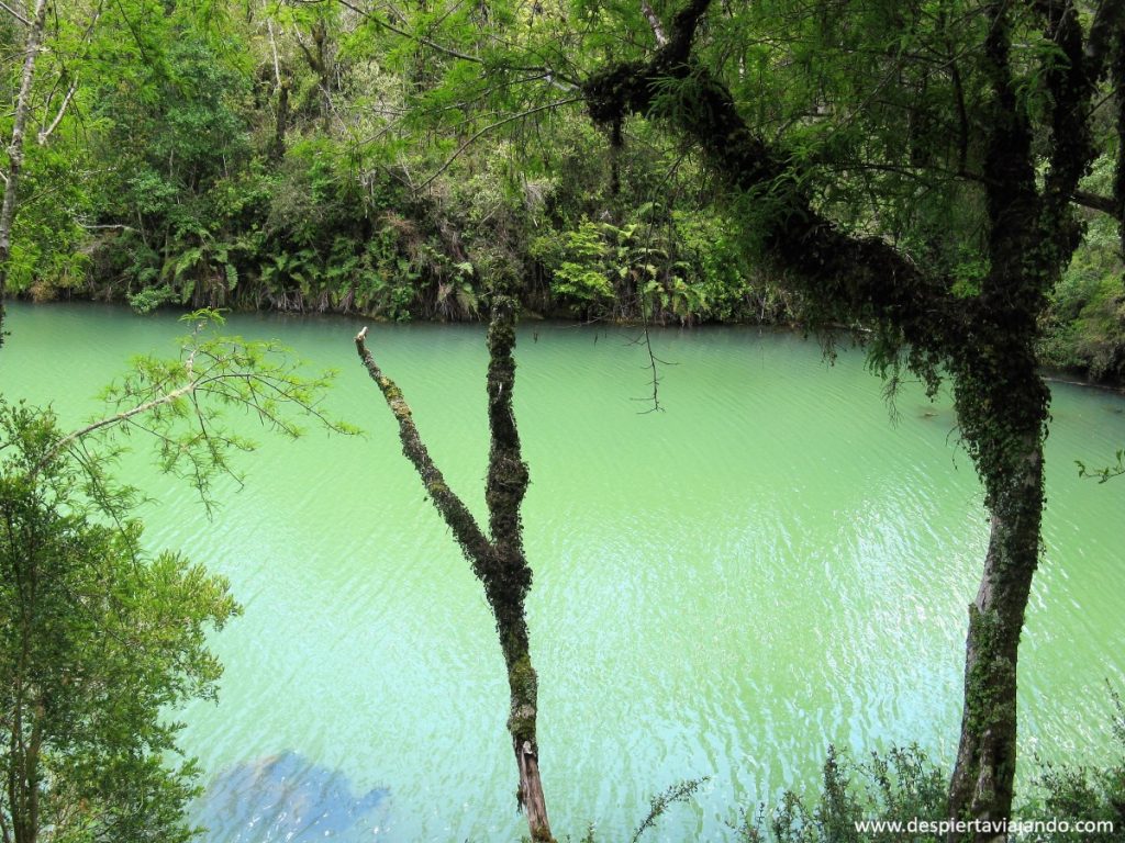 Laguna Verde, cercano a Puerto Varas