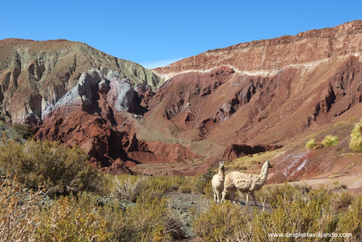 San Pedro de Atacama