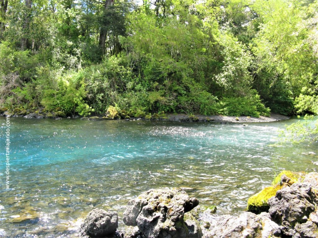 Ríos del sur de Chile