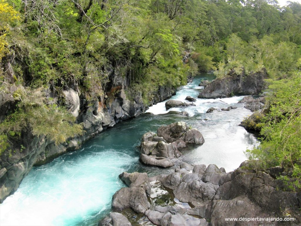 Río Petrohué, con toda su fuerza